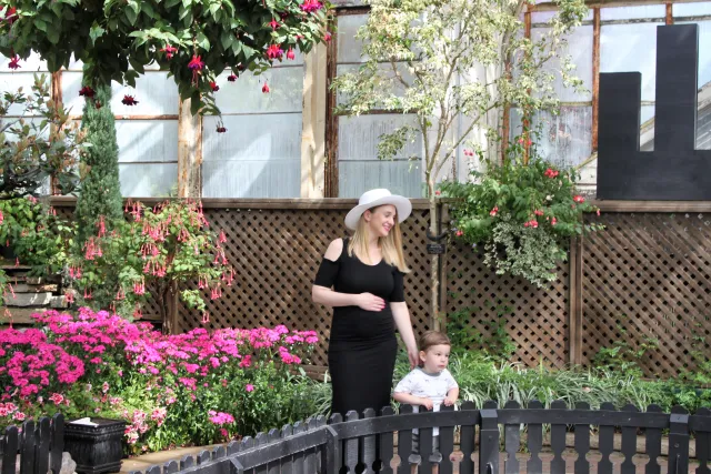 Pregnancy announcement at Lincoln Park Zoo Chicago Blogger