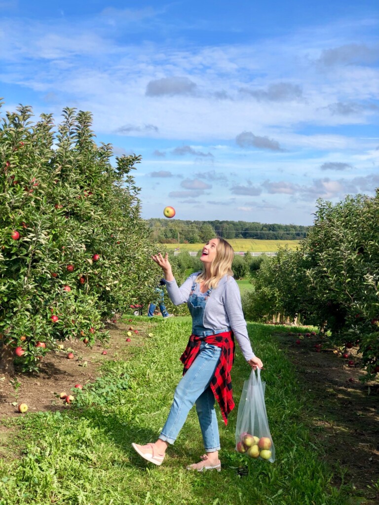 Cranes Orchard is located in Fennville, MI and a good road trip from Chicago. It's a fun buckelist item to add to your list this fall! 
