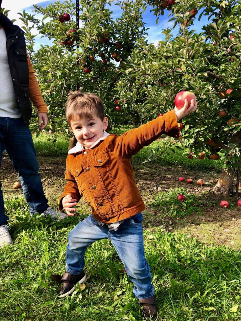 Apple picking at Cranes Orchard in Fennville, Michigan. Their pumpkin patch is small, but the orchard is one of the biggest I have seen! 
