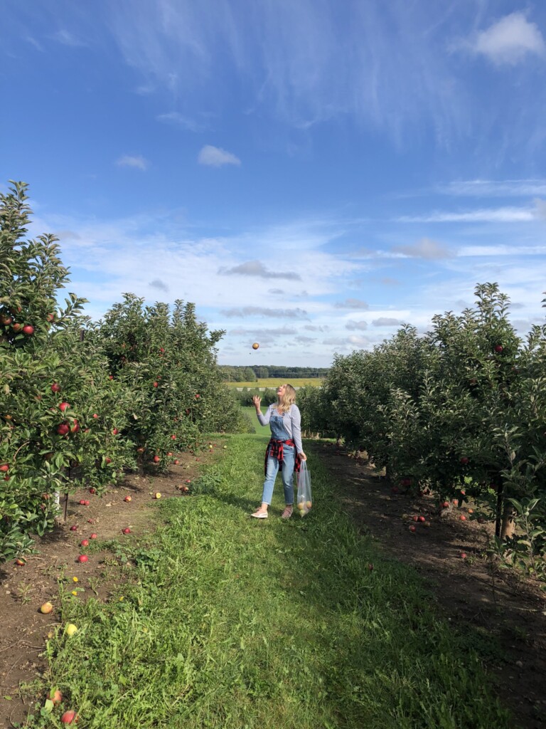 Apple picking at Cranes orchard in Fennville, Michigan. It's one of our favorite orchards! 