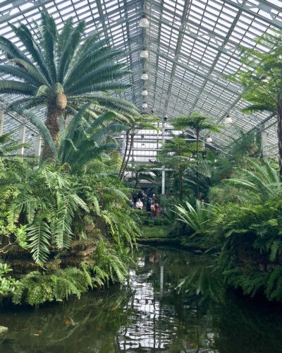The conservatories are a great inside rainy spring activity! 