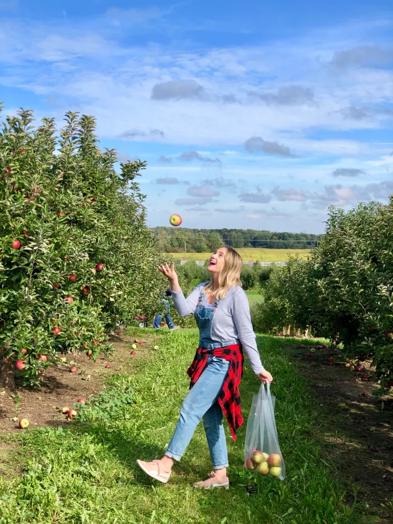 Crane's Apple Orchard has so much to do! Apple picking, hay rides, a restaurant, corn maze and more! Lots of fun!
