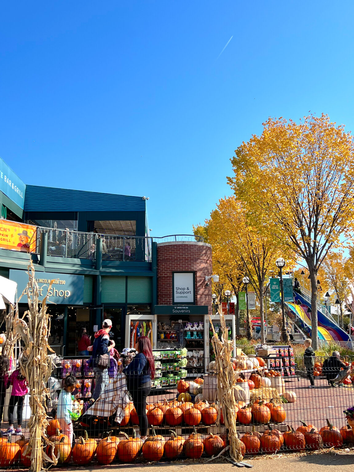The Best Things to Do in Chicago This Fall